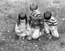 1966_June_Moosehead_Lake_292.jpg (2396595 bytes)