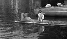 1966_June_Moosehead_Lake_331.jpg (3552586 bytes)