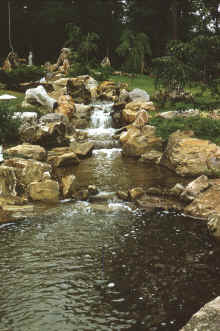 1967-06_JLBlilie_Family_458_Birmingham_AL.jpg (1979446 bytes)