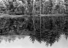 1967-Oct_Chelmsford_439.jpg (4717565 bytes)