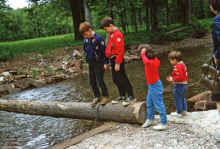 1968-06_JL_Blilie_Family_476_Newfoundland_Trip.jpg (2079204 bytes)