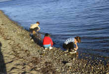 1968-06_JL_Blilie_Family_479_Newfoundland_Trip.jpg (2715281 bytes)