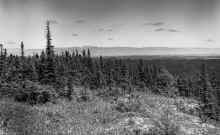 1968_Newfoundland_078_60.jpg (1053487 bytes)