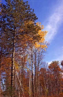 1971-09_JL_Blilie_Family_596.jpg (3527724 bytes)