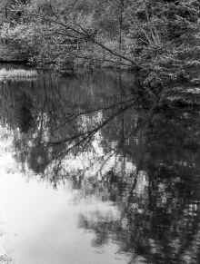 1971_Mitchell_Lake_Daggett_Brook_689.jpg (4600311 bytes)