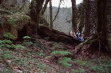 1986-03_JL_Blilie_Family_272_Sta_Bar_Arborm.jpg (1503696 bytes)