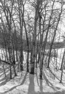 1993_Isanti_070.jpg (5067189 bytes)