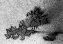 1993_Isanti_138.jpg (3980409 bytes)