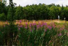 1994-08_JL_Blilie_Family_611_NShore.jpg (2132919 bytes)