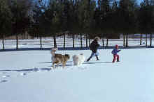 1995-12 Taka Kobuk Isanti 02 Charlie Kirsten.jpg (3257588 bytes)