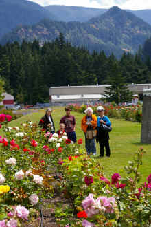 20090617_untitled_IMGP5349.jpg (4153777 bytes)