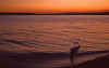1990-08 Kayaking at Browns Pt Tacoma WA 01.jpg (159036 bytes)