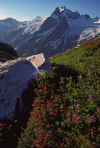 1986-08 Ptarmigan Trav Dome from White Rock Lks.jpg (263527 bytes)