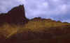 1990-08 Glacier NP X017.jpg (141346 bytes)