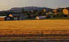 Aubignan_Sunset_5.JPG (145806 bytes)