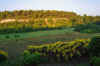 Early_am_2.JPG (166533 bytes)