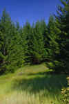 Penn_Hike_09.JPG (296956 bytes)