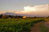 Sarrians_Sunset_02.JPG (138274 bytes)