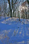 Snowshoe 7.JPG (404640 bytes)