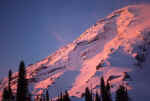1989-12_Mazama_Ridge_020.jpg (2190141 bytes)