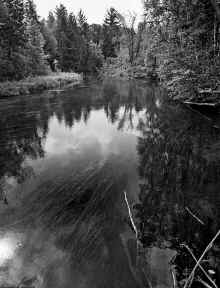 1981-08_Mitchell_Lake_090.jpg (1257020 bytes)