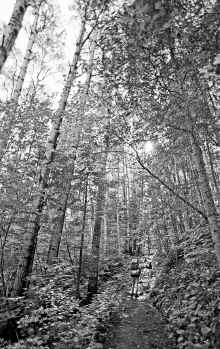 1982-09 BWCA Kent and Peggy 284.jpg (3727275 bytes)