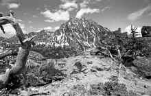 1984-06 Mt Stuart 465-2.jpg (4374009 bytes)