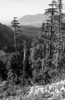 1990-08 Olympic Peninsula 518.jpg (3890416 bytes)
