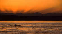1990_Browns_Point_Tacoma_WA.jpg (3692418 bytes)