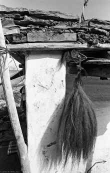 1991-07_WT_Nepal_966.jpg (2960560 bytes)