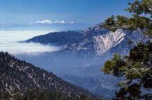 1998-06 San Bernardino Mtns CA 02.jpg (652654 bytes)