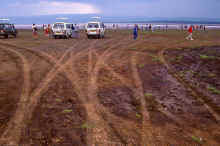 20100107_untitled_WT 1400 205-11 Kenya Lake Nakuru.jpg (914614 bytes)
