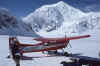 030 Mt McKinley May 1987 Kahiltna Glacier Airport.jpg (159724 bytes)