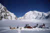 044 Mt McKinley May 1987 Glacier Camp 1.jpg (148545 bytes)