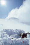 068 Mt McKinley May 1987 Camp Below Windy Corner.jpg (87224 bytes)
