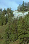 1996-04 Utah Trip 01 E Oregon.jpg (443292 bytes)