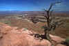 1996-04 Utah Trip 58.jpg (304401 bytes)