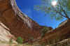 1996-04 Utah Trip 62 Horse Shoe Canyon.jpg (362827 bytes)