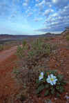 1996-04 Utah Trip 84 Delicate Arch Hike x.jpg (281025 bytes)
