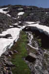 1984-030 Glacier Pk Aug-1984 01.jpg (210927 bytes)