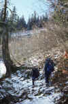 1986-002 White Horse Mtn Feb-1986 02.jpg (278992 bytes)