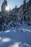 1986-004 White Horse Mtn Feb-1986 04.jpg (178810 bytes)