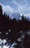 1987-001b Winter Ascent of Mt Snoqualmie Mar 1987 001.jpg (109615 bytes)