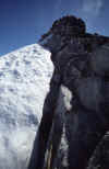 1988-016 Forbidden Peak Jul-1988 2.jpg (129107 bytes)