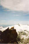 1988-022 Me Forbidden Peak Climb 1988 Summit Ridge 2.jpg (32126 bytes)