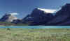 C Rockies 015 Sep-1981 Bow Lake cr.jpg (156225 bytes)