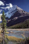 C Rockies 029a Sep-1981 Robson.jpg (213457 bytes)