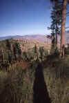 Eastern WA.jpg (192319 bytes)