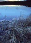 Fall 1990 MN Lake.jpg (273337 bytes)