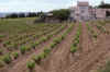 France 97 Chateau Next to Dom Raspail.jpg (298921 bytes)